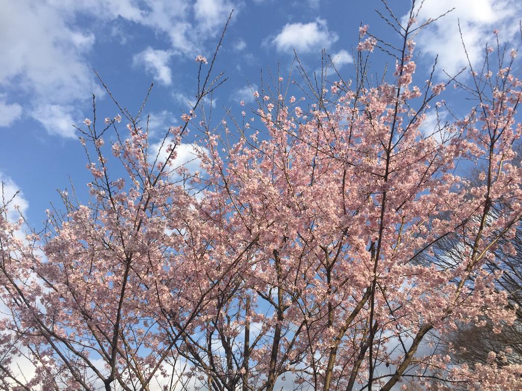 旅館 鬼怒川温泉　絶景の宿　佳祥坊福松 3*